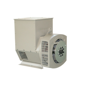 AC Brushless Generator (JDG Serie)